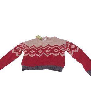NWT Crazy 8 Boys Size 4T Sweater